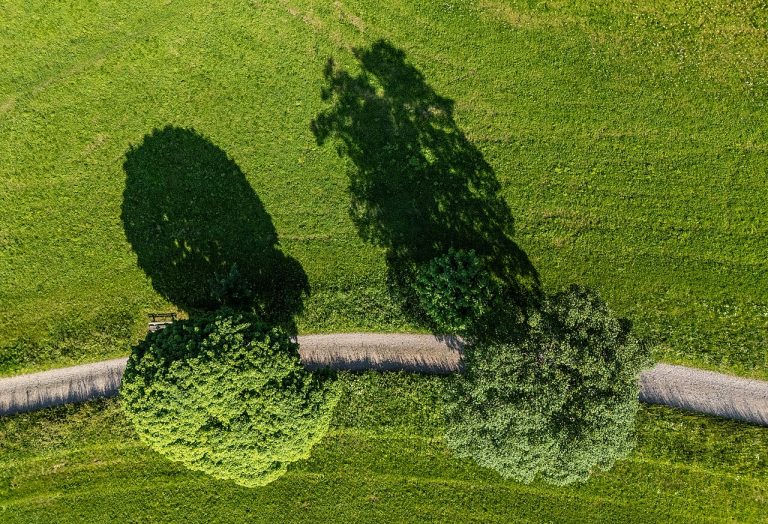 Wandeling in het licht — natuur in Urk